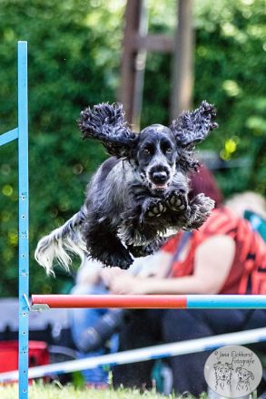 vom Haus am Österberg