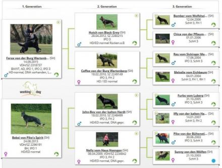 von der Heldenschmiede