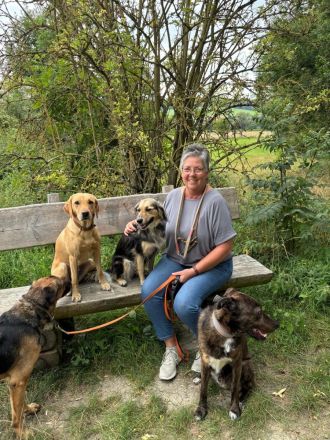 Hunde Freude Hundeschule & Hundehotel