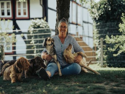 Hunde Freude Hundeschule & Hundehotel