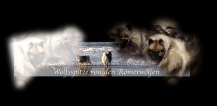 von den Römerwölfen