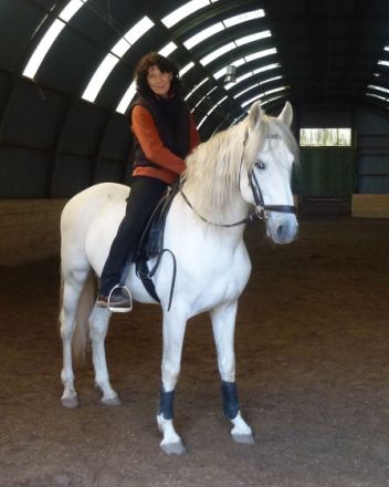 Tier Physio TCM Augsburg / Stuttgart