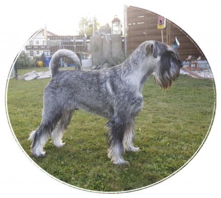 Cristobal vom Achterplätzchen