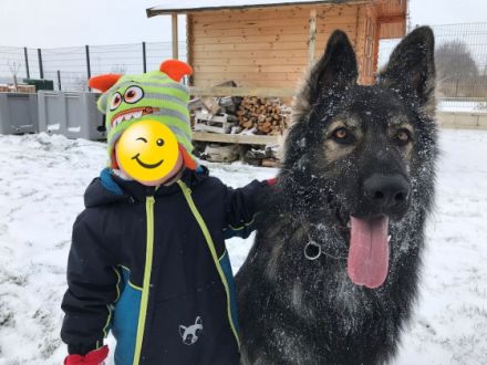 Aramis Abraxas von Pandora