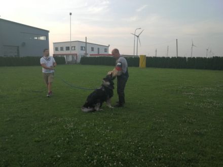 Aramis Abraxas von Pandora