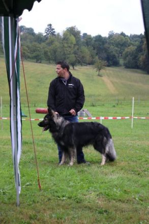 Aramis Abraxas von Pandora