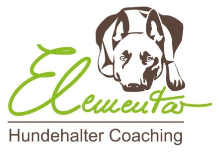 Hundeschule Elementar