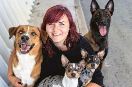 Hundeschule Elementar