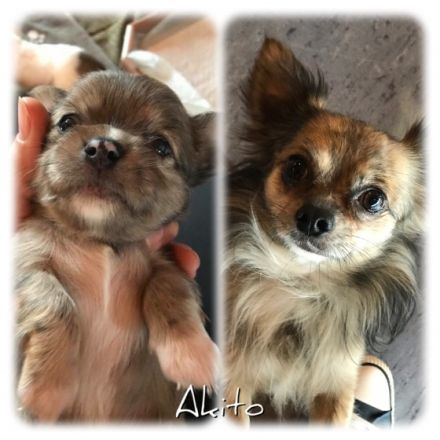 Akito aus Petra’s Babystube