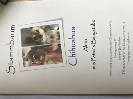 Akito aus Petra’s Babystube