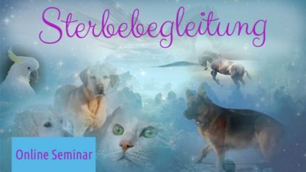 Sterbebegleitung bei deinem Tier /Online Seminar