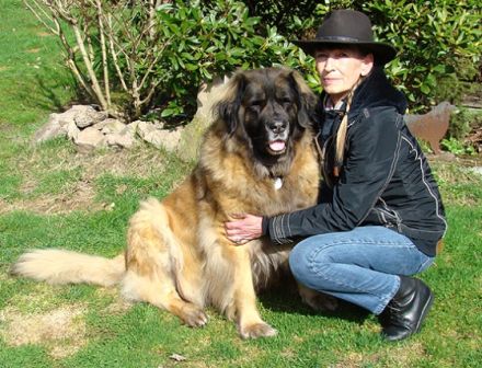 Hundebetreuung Odenwald