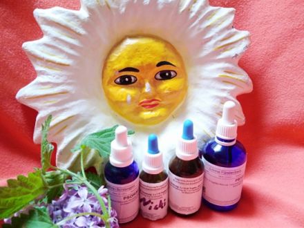 Tierheilpraxis Leona Fürstenberg Bochum