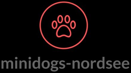 Hundepension für Minidogs