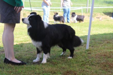 Beautiful magic eyes Eshmoor