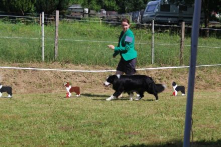 Beautiful magic eyes Eshmoor