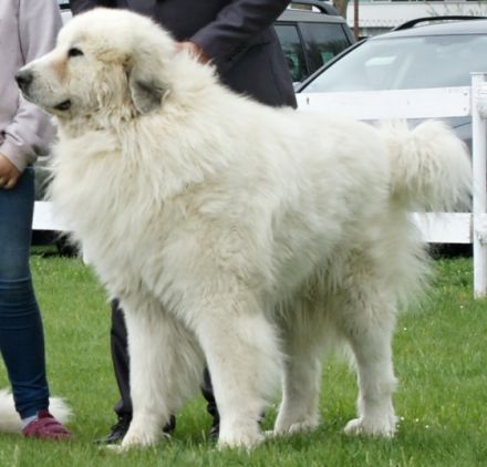 multich.Pyristamo Ergo,HD 0/0,PL 0/0,OCD 0/0,ED 0/0