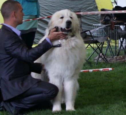 multich.Pyristamo Ergo,HD 0/0,PL 0/0,OCD 0/0,ED 0/0