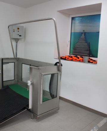 Hundephysiotherapie GANGSTARK