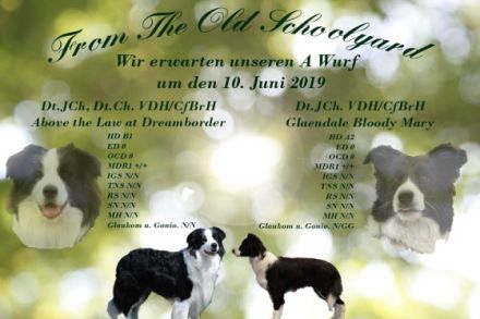 From The Old Schoolyard