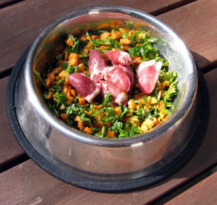 BARF Praxisseminar mit Entgiftung