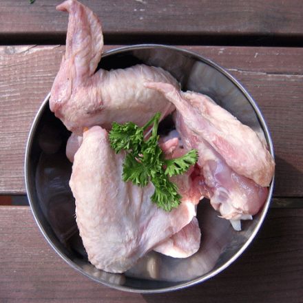 BARF Praxisseminar mit Entgiftung