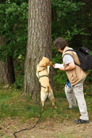 Forsthaus Metzelthin - Die freundliche Hundeschule
