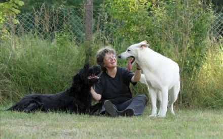 Forsthaus Metzelthin - Die freundliche Hundeschule