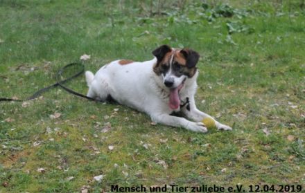 Juhu ihr Lieben, hier komm ich, Watson ist mein Name!