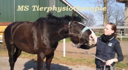 MS Tierphysiotherapie