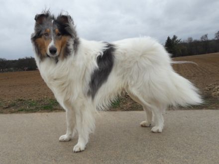 Liwanu Light Of My Heart