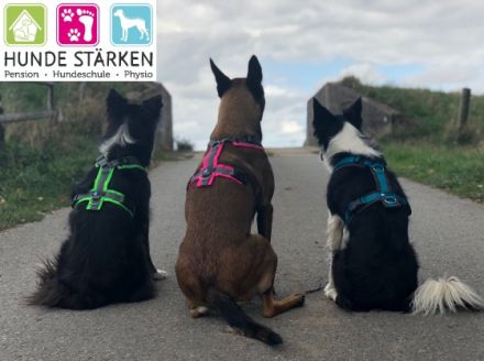 Hunde Stärken