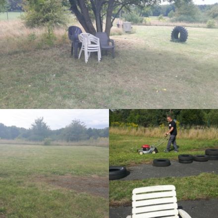 TeamDogs - Hundetraining