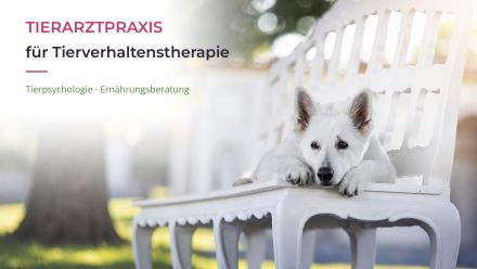 Tierarztpraxis für Tierverhaltenstherapie und Tierpsychologie