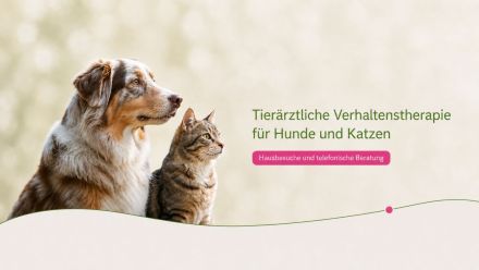 Tierarztpraxis für Tierverhaltenstherapie und Tierpsychologie