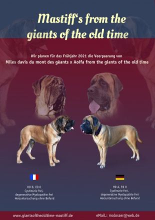 from the giants of the old time