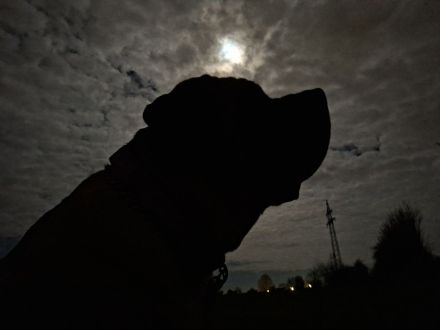 from the giants of the old time