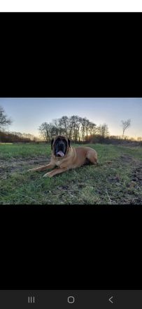 from the giants of the old time