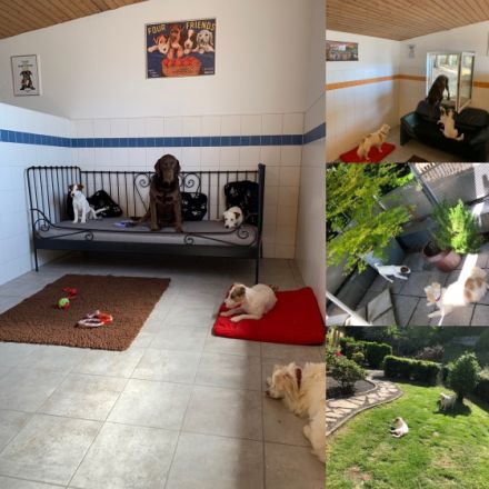 Hundepension am Schaumberg