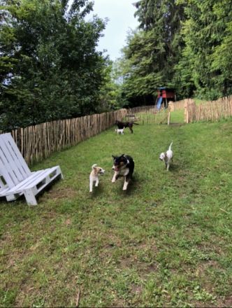 Hundepension am Schaumberg