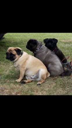 vom Cappenberger See