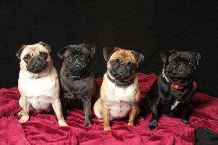 vom Cappenberger See