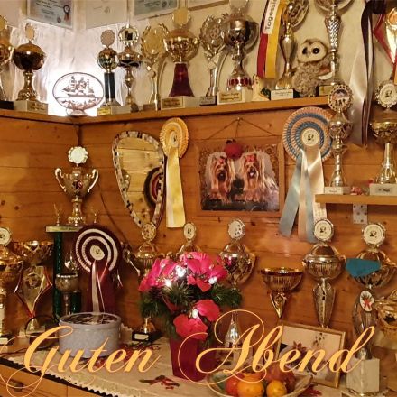 Sweet harmony of shining star