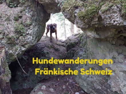 Hundewanderung Fränkische Schweiz