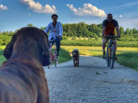 Seminar Reiz- und Impulskontrolle