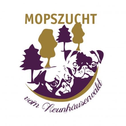 Vom Neunhäuserwald