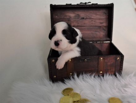 From The Old Schoolyard