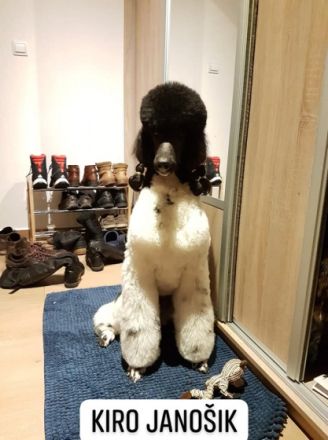 Kiro von Karolinenberg