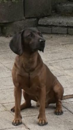 LEO / Vater Cierny Baca Worldchampion 2015 Mailand