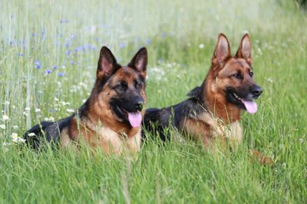 von der Claudinenburg